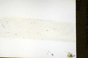 Plane Polarized, S69234