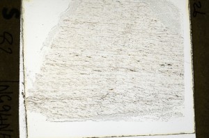 Plane Polarized, S69235