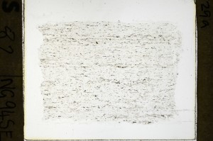 Plane Polarized, S69237