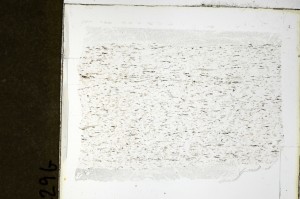 Plane Polarized, S69238