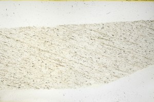 Plane Polarized, S69239