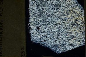 Cross Polarized, S69240