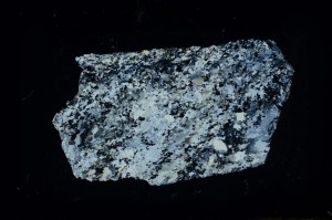 Cross Polarized, S69241