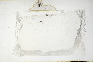 Plane Polarized, S69241