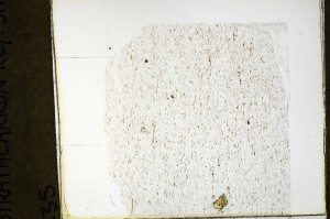 Plane Polarized, S69242