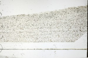 Plane Polarized, S69244