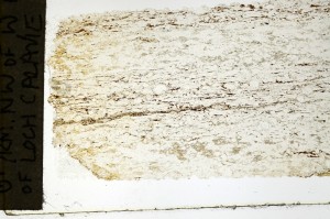 Plane Polarized, S69245