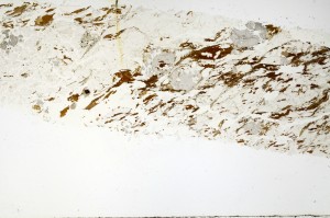 Plane Polarized, S69246