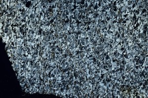 Cross Polarized, S69248