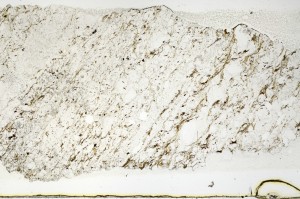 Plane Polarized, S69249