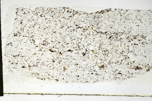 Plane Polarized, S69250