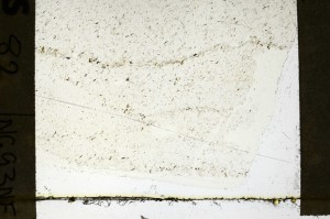 Plane Polarized, S69252