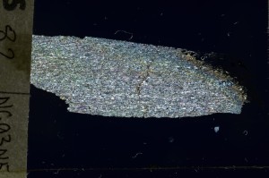 Cross Polarized, S69254