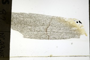 Plane Polarized, S69254