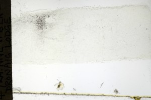 Plane Polarized, S69257