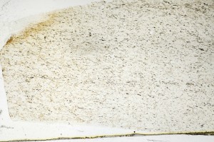 Plane Polarized, S69258