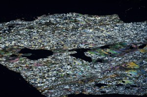 Cross Polarized, S69260