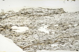 Plane Polarized, S69260