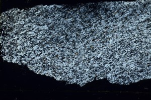 Cross Polarized, S69261