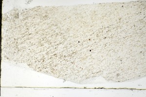 Plane Polarized, S69261