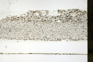 Plane Polarized, S69264