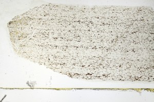 Plane Polarized, S69265