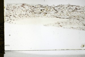 Plane Polarized, S69266