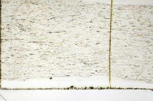 Plane Polarized, S69267