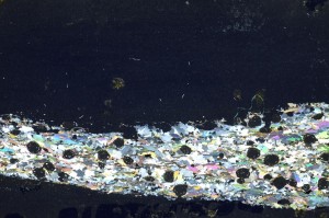 Cross Polarized, S69273