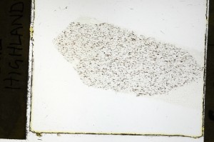 Plane Polarized, S69275