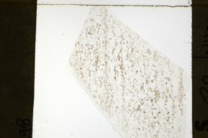 Plane Polarized, S69278