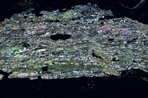 Cross Polarized, S69280