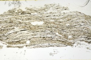 Plane Polarized, S69280