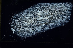 Cross Polarized, S69281