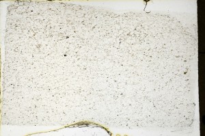 Plane Polarized, S69282