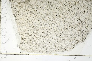 Plane Polarized, S69283