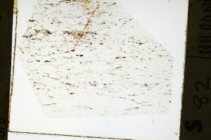 Plane Polarized, S69286