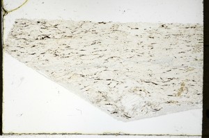 Plane Polarized, S69287