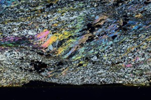 Cross Polarized, S69289