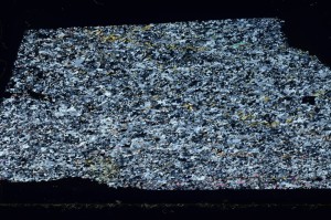 Cross Polarized, S69290