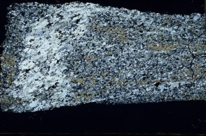 Cross Polarized, S69293