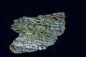 Cross Polarized, S69294