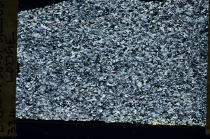 Cross Polarized, S69296