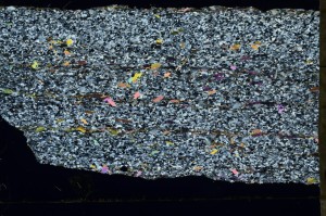 Cross Polarized, S69298