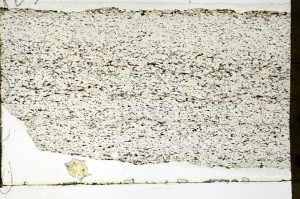 Plane Polarized, S69298