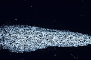 Cross Polarized, S69299