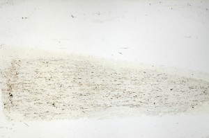 Plane Polarized, S69299