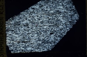 Cross Polarized, S69300