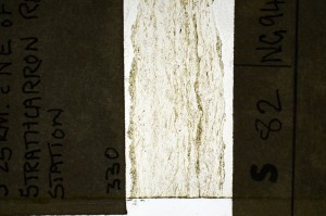 Plane Polarized, S69301