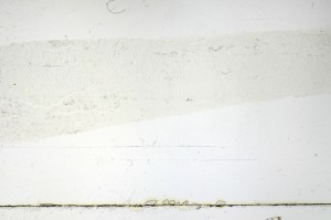 Plane Polarized, S69302